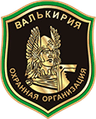 Валькирия